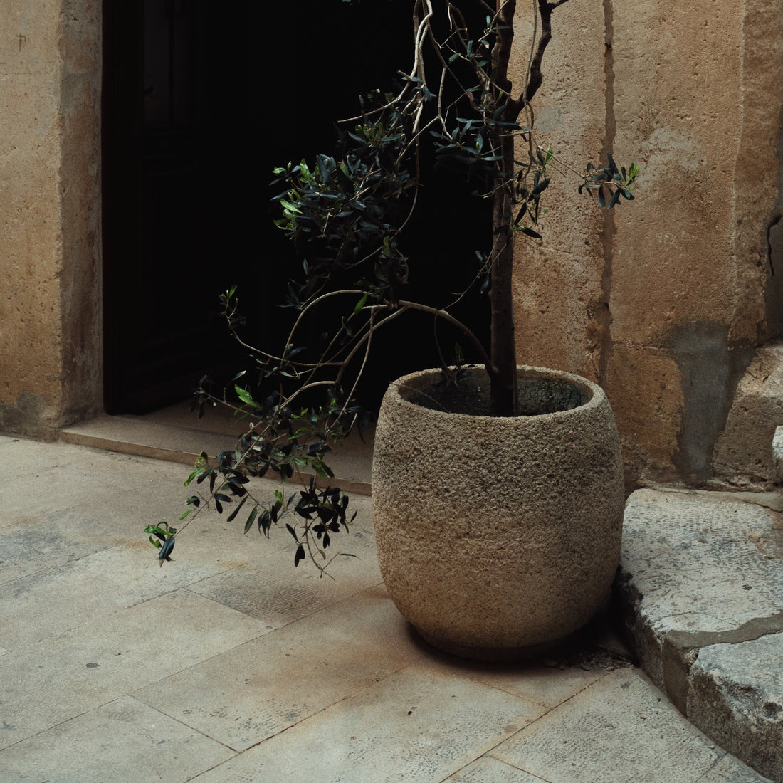Planters