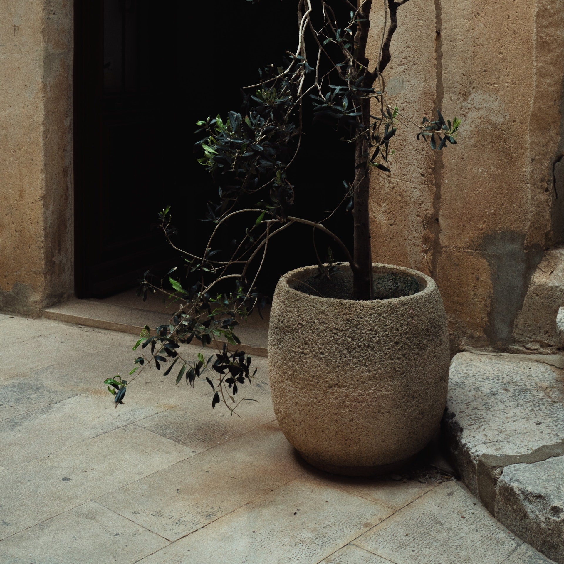 Planters