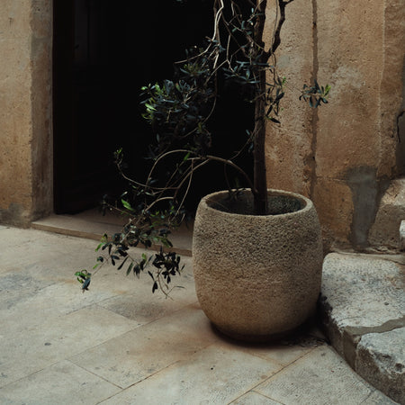 Planters