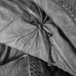 100% Cotton Duvet Cover & Pillow Set